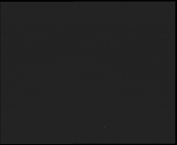 Snímek 7.11.2025 v 01:30