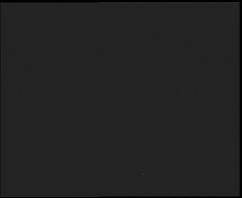 Snímek 7.11.2025 v 02:30