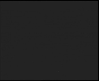 Snímek 7.11.2025 v 03:00