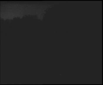 Snímek 7.11.2025 v 06:00