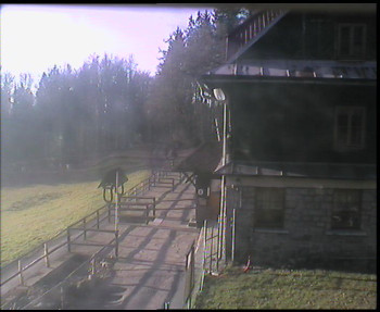 Snímek 7.11.2025 v 08:30