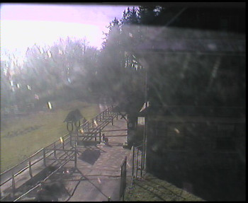 Snímek 7.11.2025 v 11:30