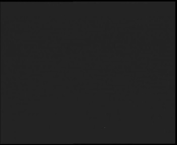 Snímek 7.11.2025 v 20:15