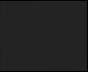 Snímek 8.11.2025 v 05:30