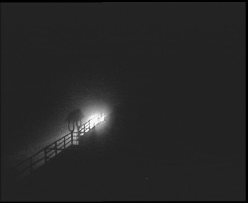 Snímek 8.11.2025 v 20:00