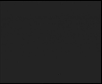 Snímek 9.11.2025 v 20:45