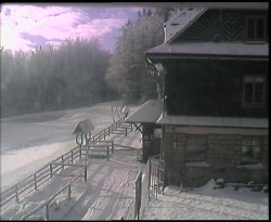 Terasa horského hotelu