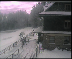 Terasa horského hotelu