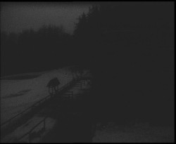 Terasa horského hotelu