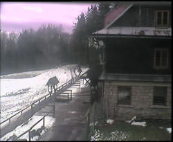 Terasa horského hotelu
