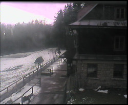 Terasa horského hotelu