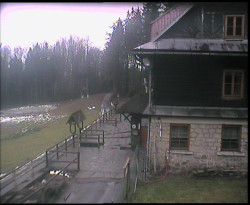 Terasa horského hotelu