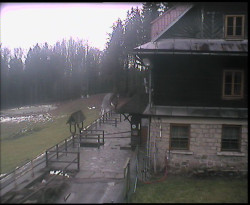 Terasa horského hotelu