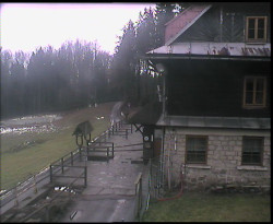 Terasa horského hotelu