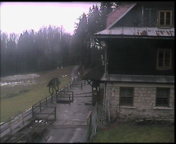 Terasa horského hotelu