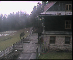 Terasa horského hotelu