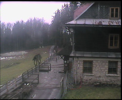 Terasa horského hotelu