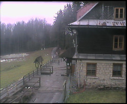 Terasa horského hotelu