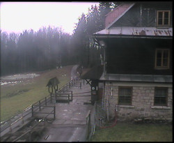 Terasa horského hotelu