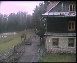 Terasa horského hotelu