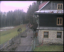 Terasa horského hotelu