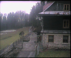 Terasa horského hotelu