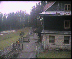 Terasa horského hotelu