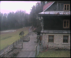 Terasa horského hotelu