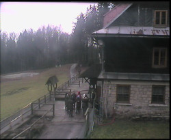 Terasa horského hotelu