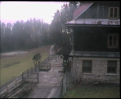Terasa horského hotelu
