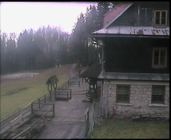 Terasa horského hotelu