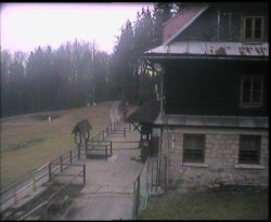 Terasa horského hotelu
