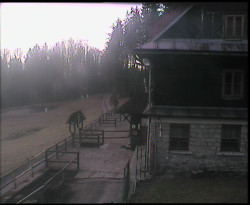 Terasa horského hotelu