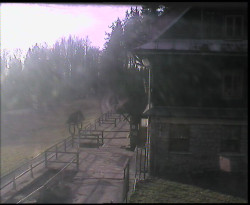 Terasa horského hotelu