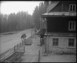 Terasa horského hotelu