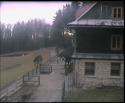 Terasa horského hotelu