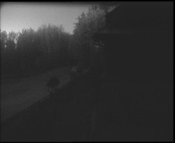 Terasa horského hotelu