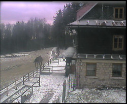 Terasa horského hotelu