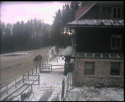 Terasa horského hotelu