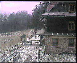 Terasa horského hotelu