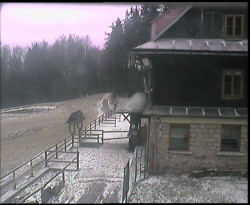 Terasa horského hotelu