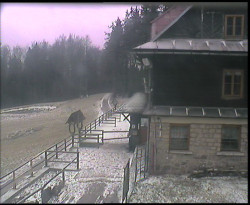 Terasa horského hotelu