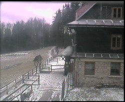 Terasa horského hotelu