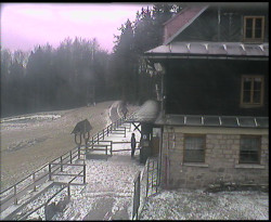 Terasa horského hotelu