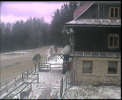 Terasa horského hotelu