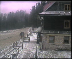 Terasa horského hotelu