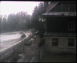 Terasa horského hotelu