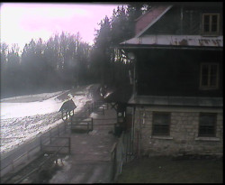 Terasa horského hotelu