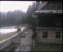 Terasa horského hotelu