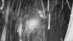 Terasa horského hotelu